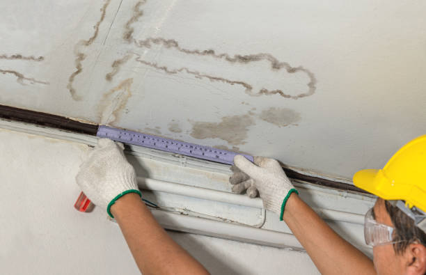 Reliable Water Damage contractor in Evergreen, CO by Water Damage Irwin